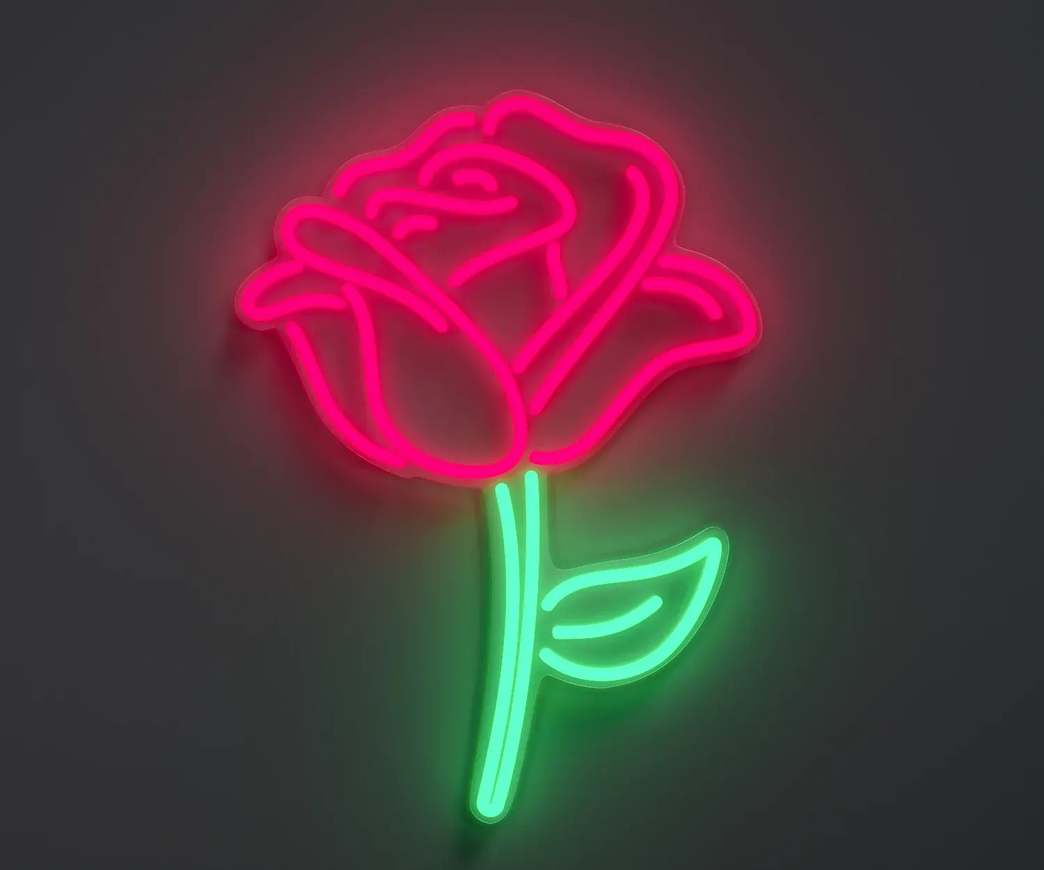 Classic Rose