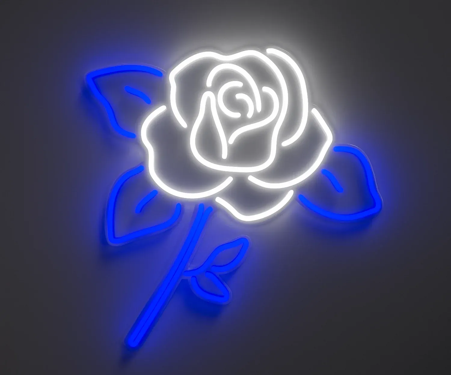 Blossoming Rose